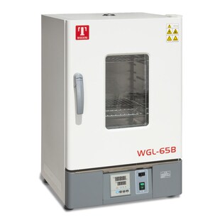 天津泰斯特WGL 45B 65B 125B电热鼓风干燥箱高温烘干箱 30B