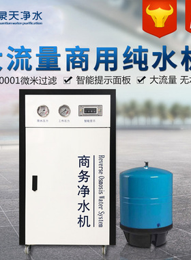 大通量商用净水器400G净水机600G反渗透直饮机800G1200G量大从优