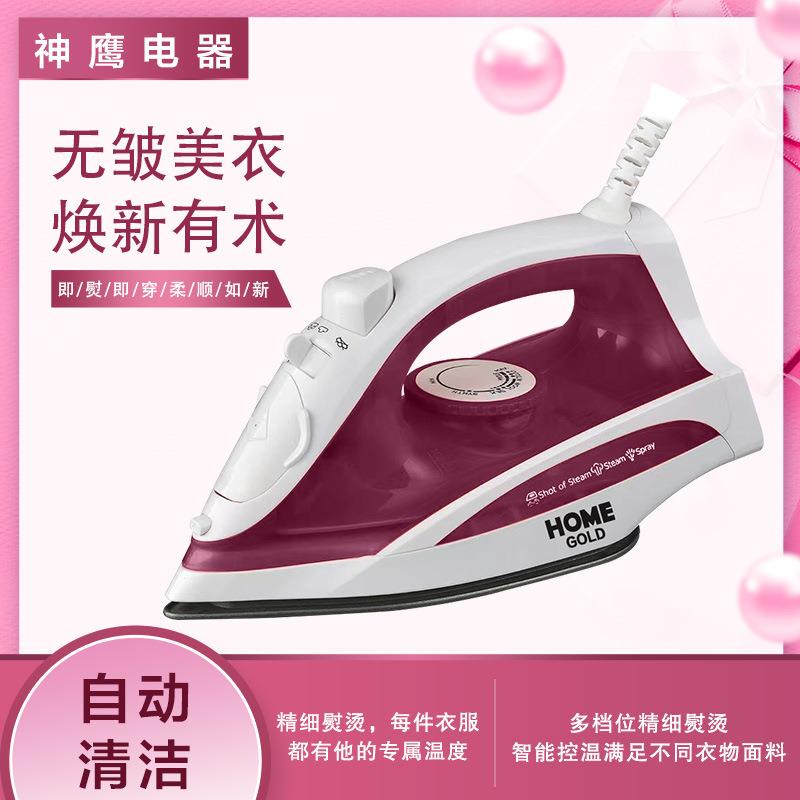 家用手持式电熨斗家用小型喷水蒸汽陶瓷底带大水箱熨斗机外贸跨境
