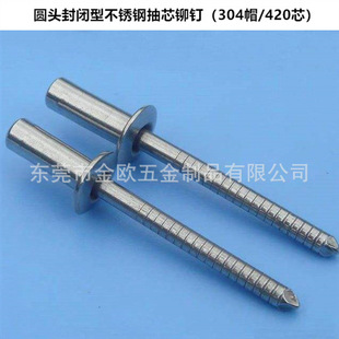 抽芯铆钉 现货封闭拉钉圆头不锈钢防水铆钉304帽420芯封闭式