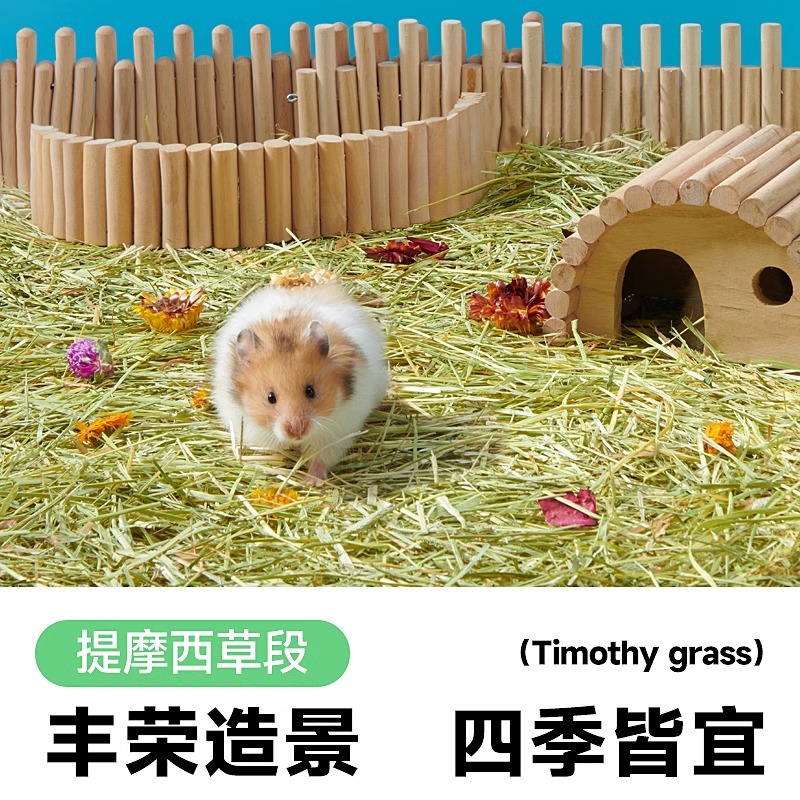 yee意牌 提摩西垫料小仓鼠夏天吸水造景装饰木屑金丝熊花枝鼠用品