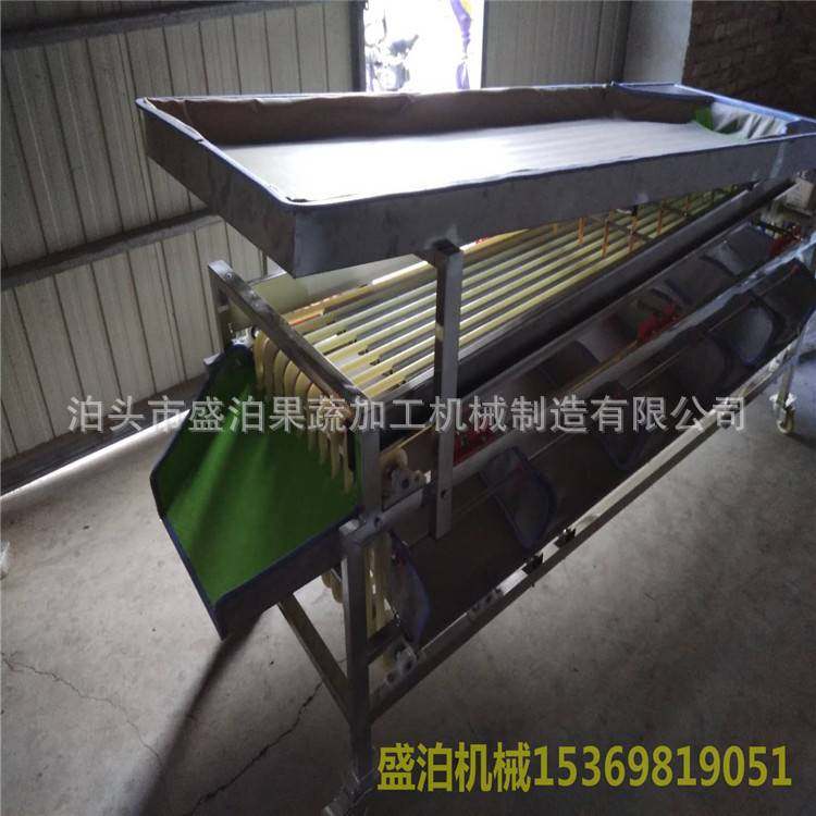 胡核桃分选机 小型家庭用 加厚软包不伤果,农机/农具/农膜,收割机械,淘宝优惠券,粉丝福利购,淘宝优惠卷