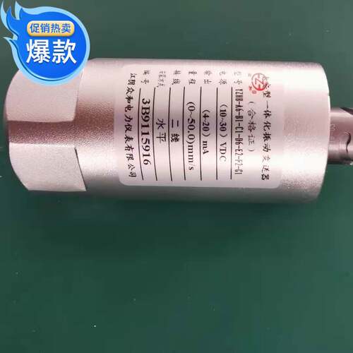 YZHB-A6-B1-C1-D6-E2-F2-G1 本安型一体化振动变送器 江阴众和