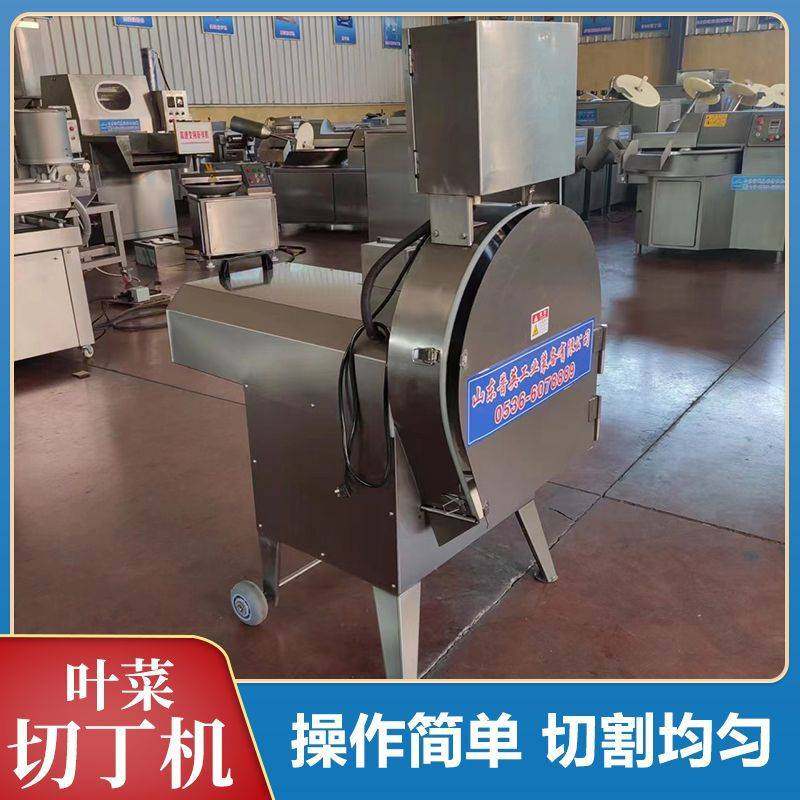 果蔬加工设备 山东普英叶菜类蔬菜切丁机 商用大型变频切菜机