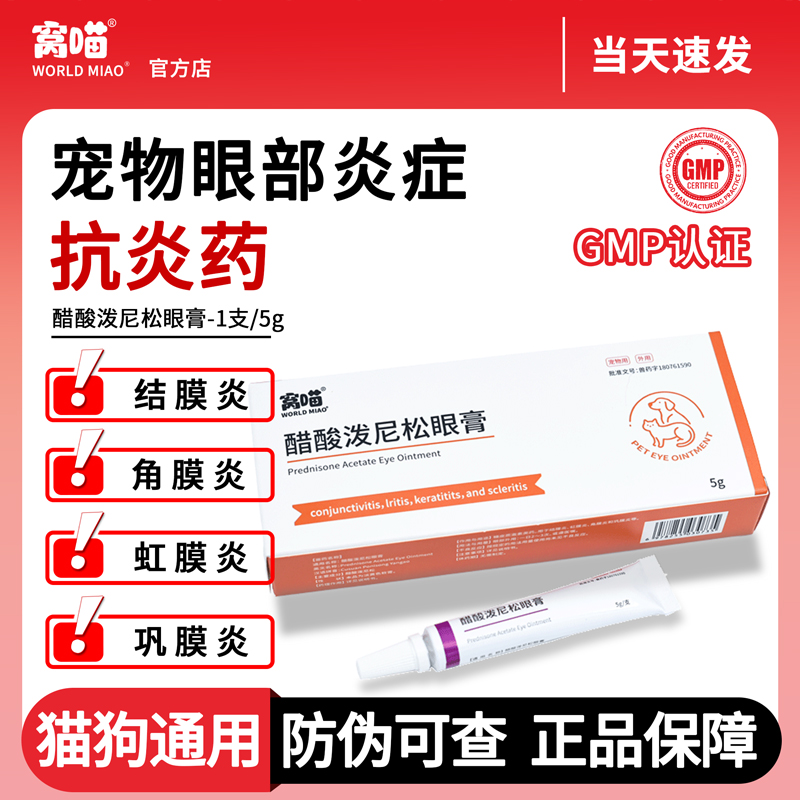 窝喵宠物眼部炎症外用眼膏5g