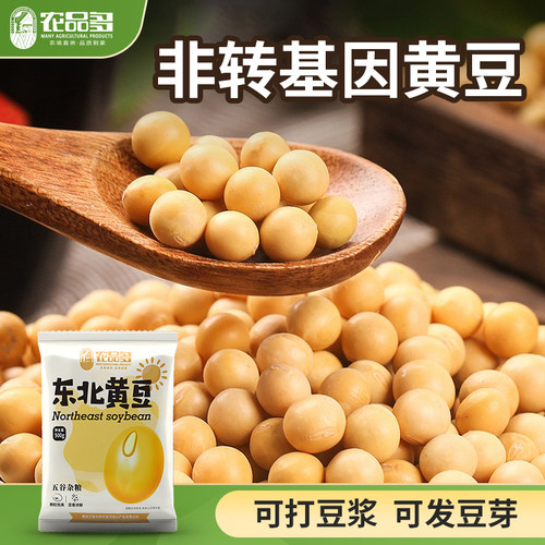 【蛋白含量高】非转基因黄豆新货
