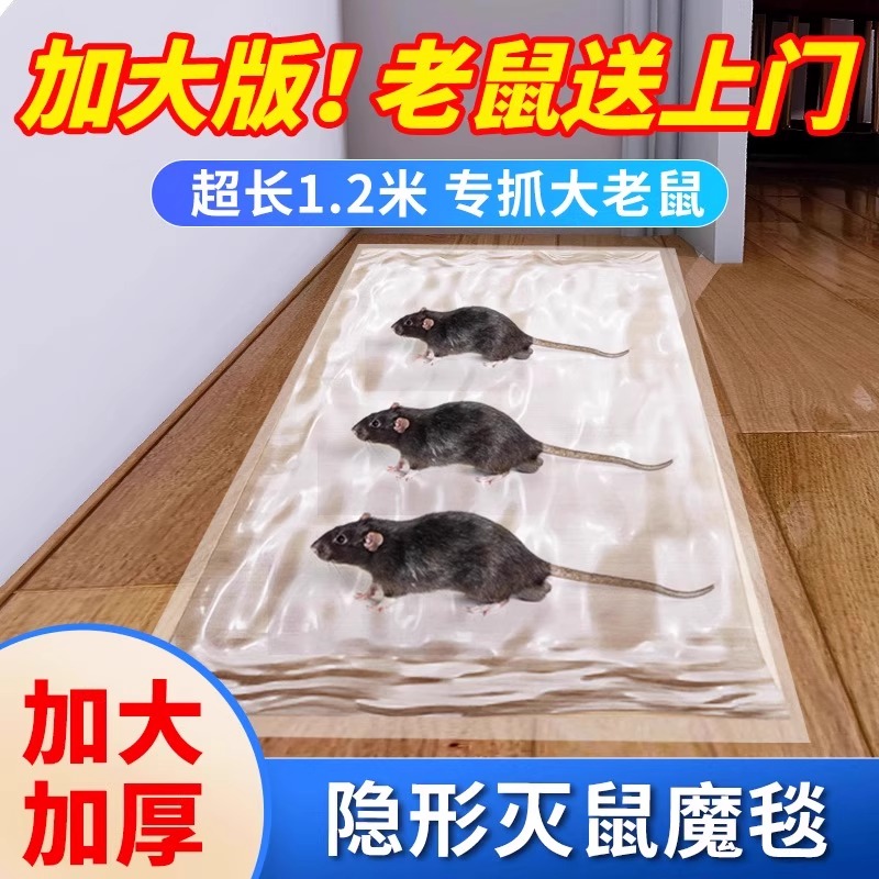强力粘鼠板胶粘大老鼠捕鼠灭鼠