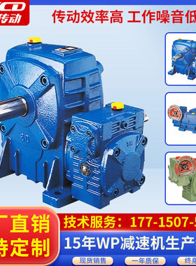 wpda减速机 wpds小型蜗轮蜗杆斜齿卧式液压wpdz大棚卷帘机减速机
