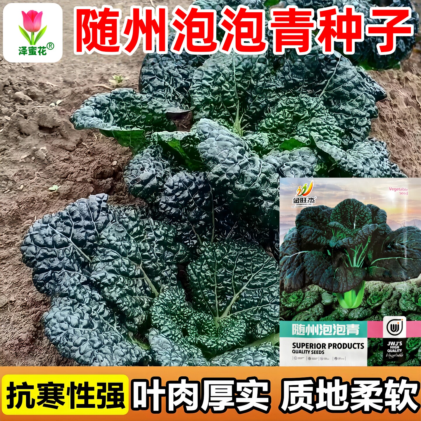 正品原包装随州泡泡青黑菜种子图片