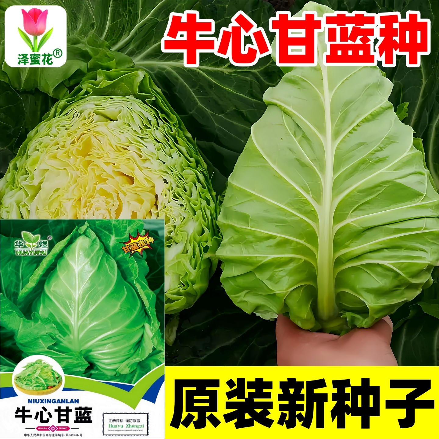 包菜种子牛心甘蓝种子牛心包卷心菜四季耐热耐寒春秋冬季蔬菜种子