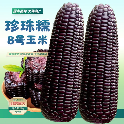 黑甜糯8号玉米种子正品原包装