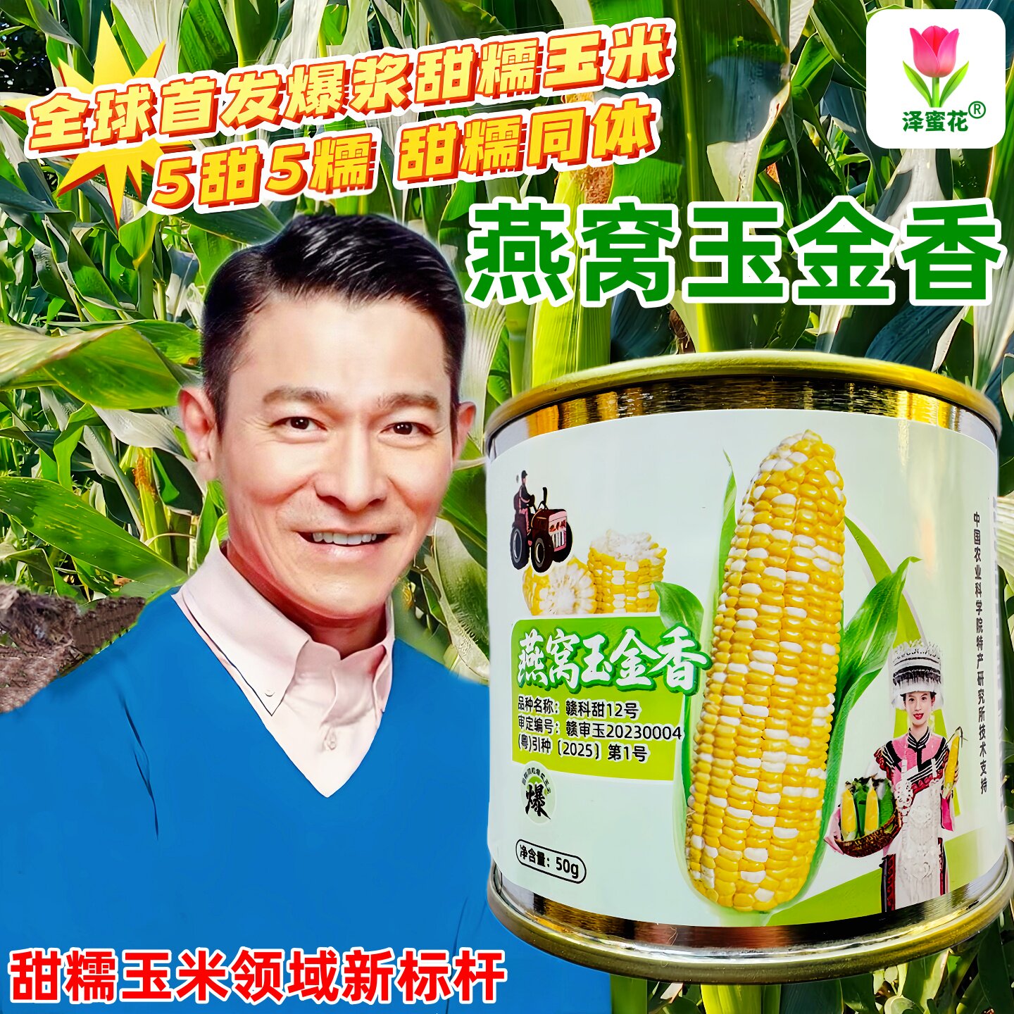 全新第三代燕窝玉金香双色水果玉米种子甜糯同粒高产鲜食玉米种籽