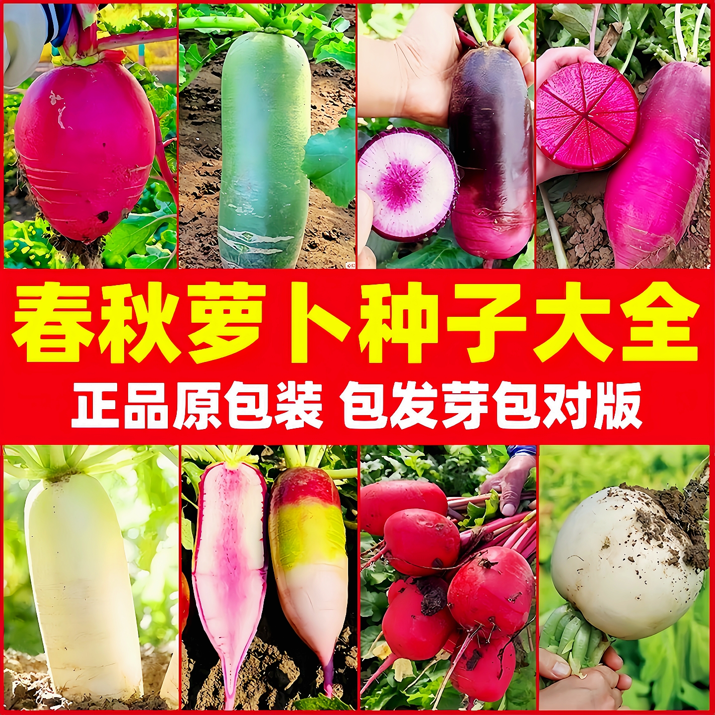 正品原包装萝卜种子大全包对版
