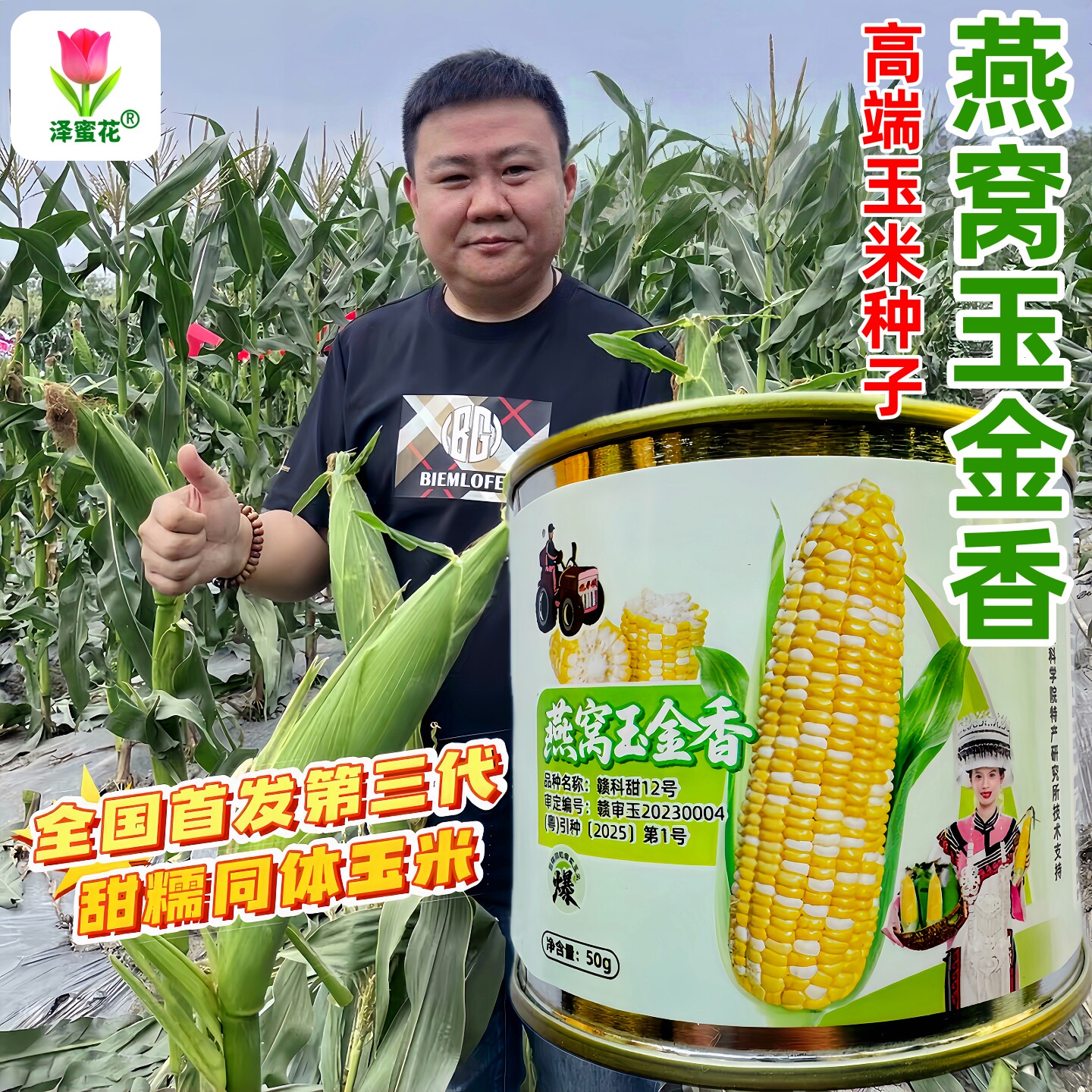 高端新品种燕窝玉金香玉米种子罐装50g甜糯同粒超甜水果玉米种籽