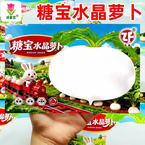 正宗水果型糖宝水晶萝卜种20g/袋