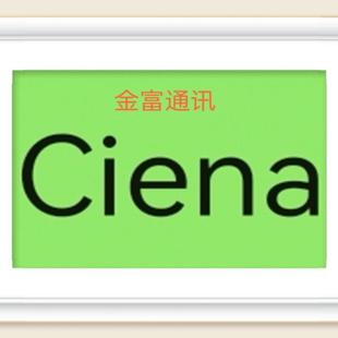 900 议价 Ciena光纤模块160 9401 160