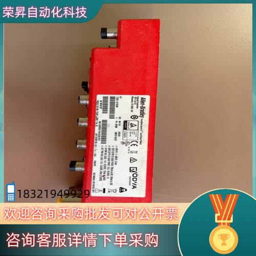 现货原装 Allen-Bradley 1732ES-IB12XO