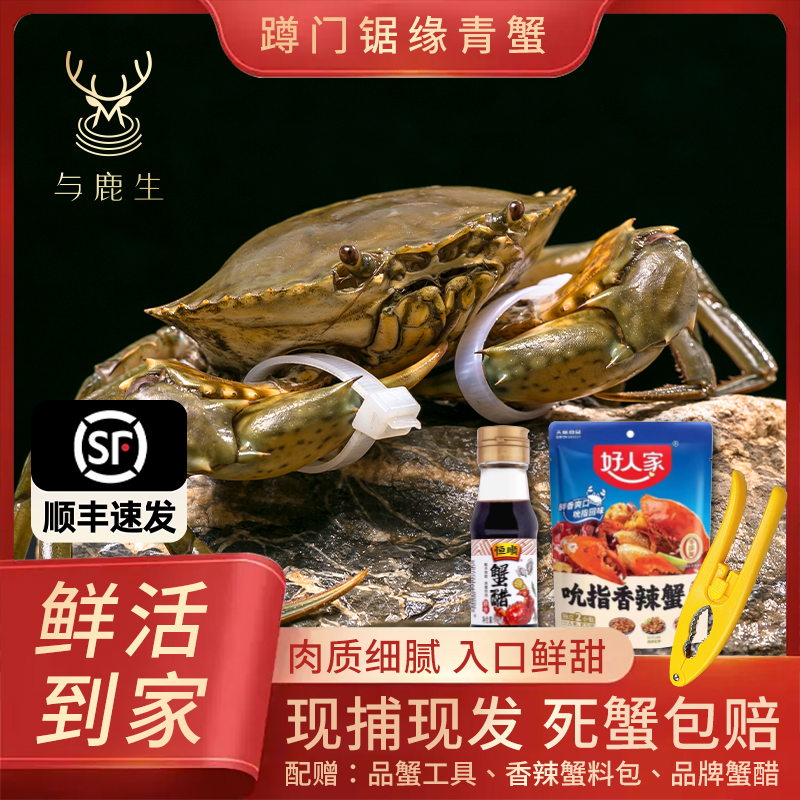 与鹿生青蟹鲜活公母红膏礼盒