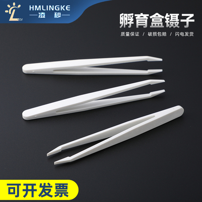 WesternBlot抗体孵育盒镊子