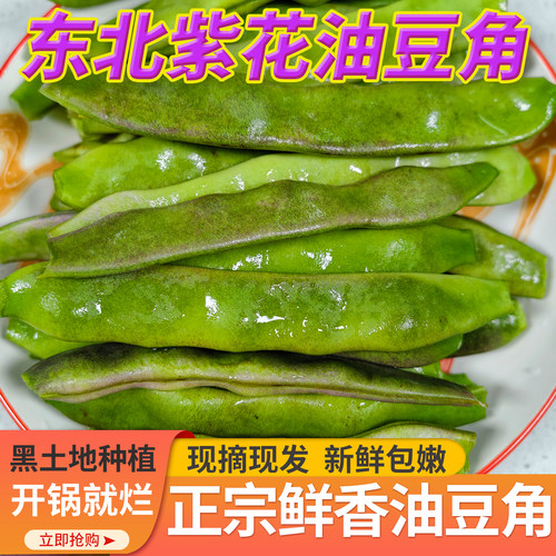 东北紫花油豆角现摘新鲜蔬菜正宗一点红农家自种开锅就烂鲜香正宗