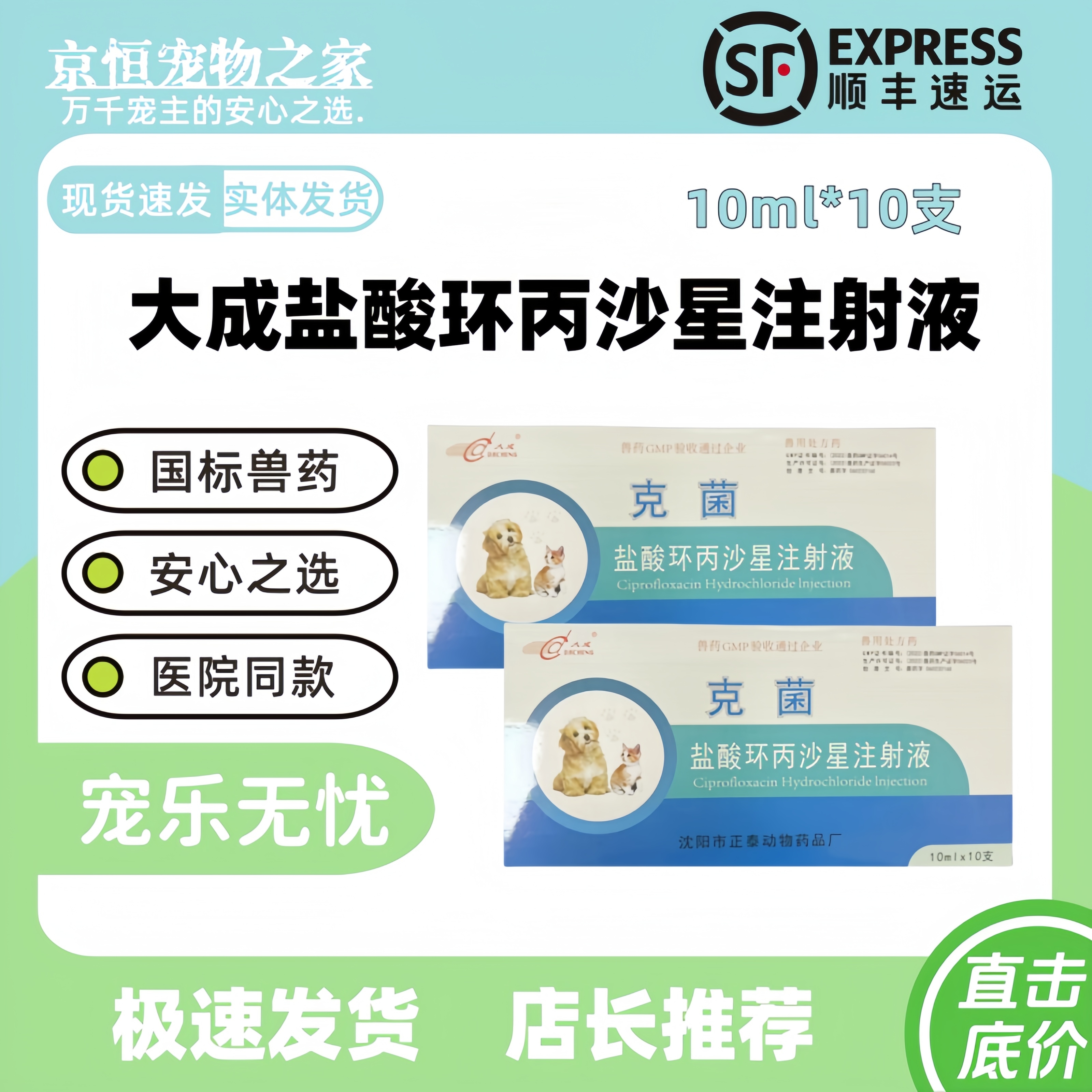 大成盐酸环丙沙星注射液10ml十支用于细菌和支原体感染医院同款