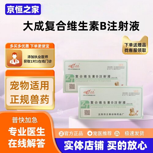 大成复合维生素B注射液2ml*10支复合维生素B多发性神经严正品宠物