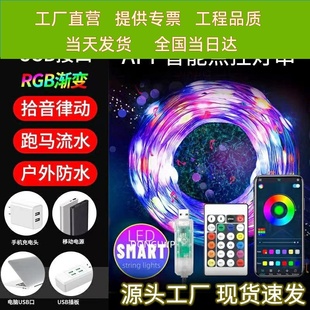 RGB幻彩皮线灯串户外防水APP蓝牙遥控变色圣诞树装饰声控点控串。