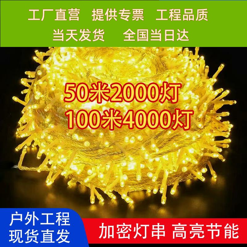 led彩灯闪灯串灯满天星户外防水星星灯树灯24V低压街道工程亮化灯