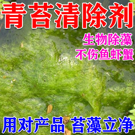 鱼池除藻去苔剂不伤鱼虾蟹速杀青苔灭绿水藻去除剂水池青苔清除剂