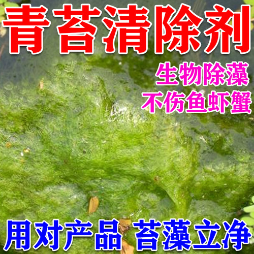 绿藻青苔清除剂日销过万+