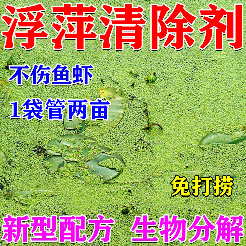 鱼池浮萍清除剂免打捞一扫光鱼塘除藻不伤鱼虾蟹灭绿藻去除净水剂,宠物/宠物食品及用品,除藻剂,淘宝优惠券,粉丝福利购,淘宝优惠卷