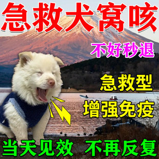 窝咳净犬窝咳特效专用药感冒咳嗽打喷嚏流鼻涕止咳平喘犬瘟专用剂