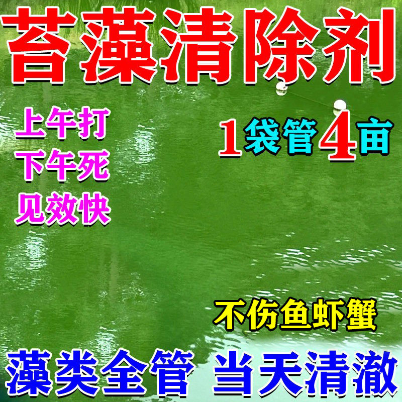 鱼池除藻去苔剂青苔清除剂灭苔藻除绿水不伤鱼虾改善水质池塘变清
