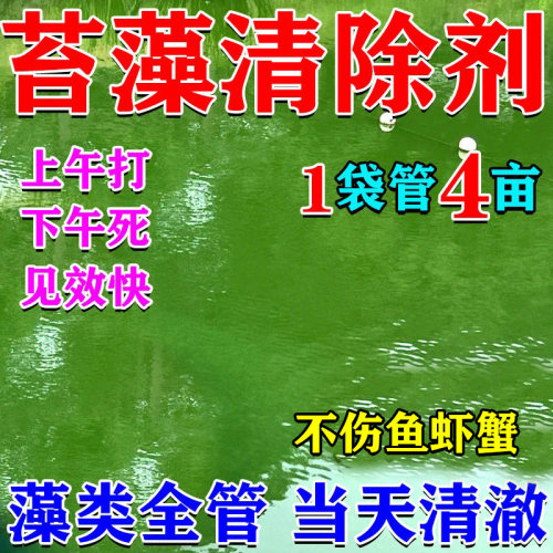 鱼池除藻去苔剂不伤鱼青苔清除剂