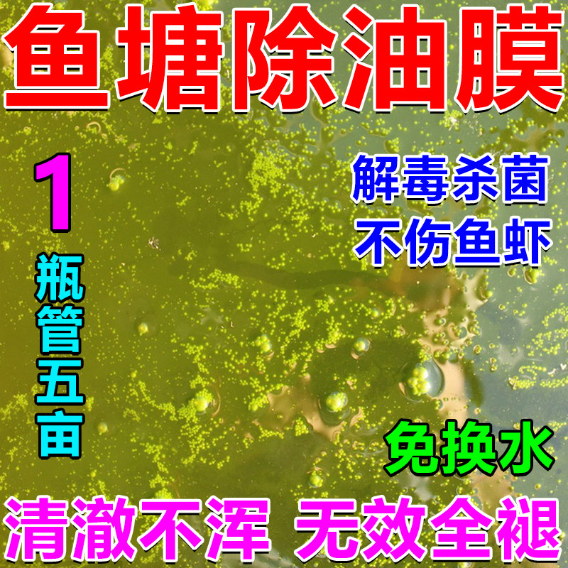 鱼塘除油膜清澈不浑无效全褪