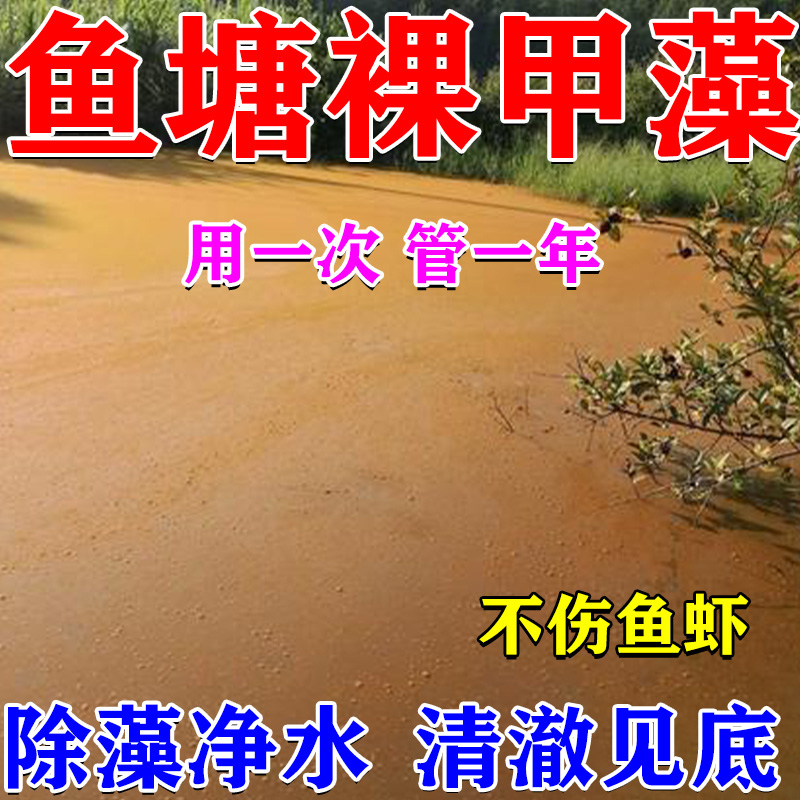 鱼塘除铁锈水裸甲藻鱼塘净水剂