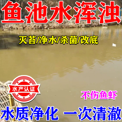 上午用下午净不伤鱼虾