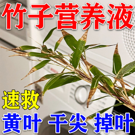 竹子专用肥料防救叶子发黄干尖掉叶黄叶病竹子促芽生根专用营养液