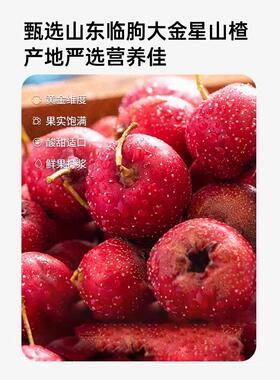 甘之六物山HRH条6楂袋陈皮鸡内金风味休闲颐食品解馋室零食办公零