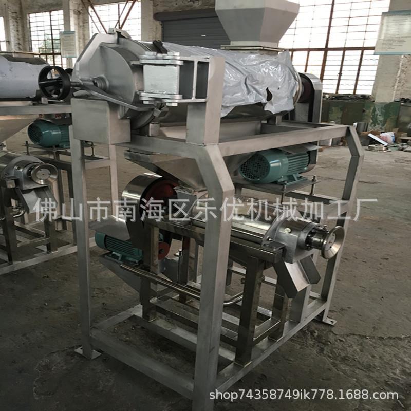 304乐优去核榨汁机 樱桃李子杨梅加工生产线榨汁机去核榨汁双机