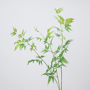 仿真竹叶竹枝假竹叶仿真塑料假绿植单支竹藤片装饰假树叶竹子道具