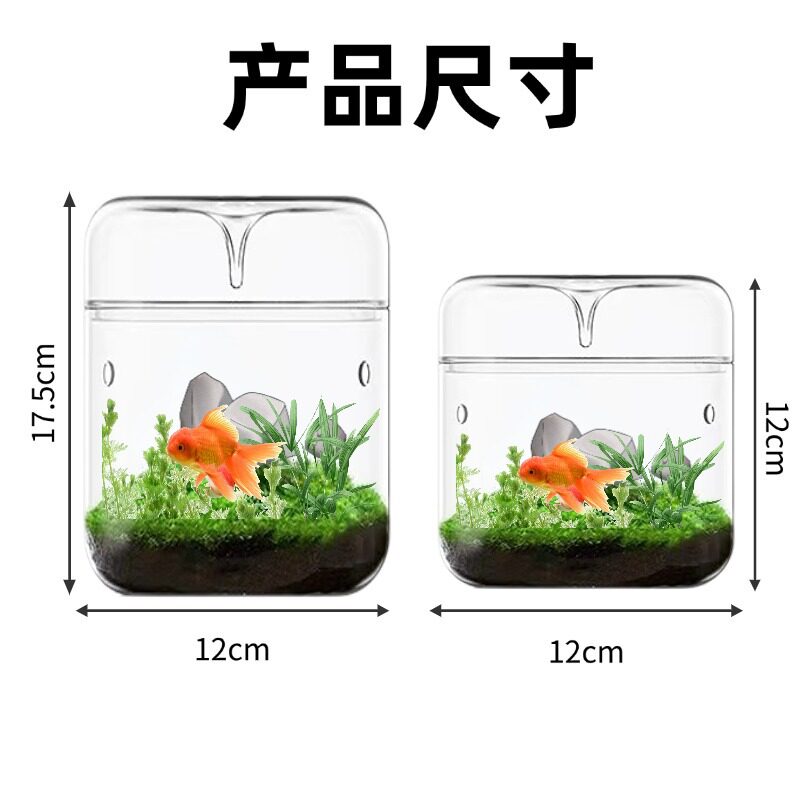 水族微景观缸办公室玻璃