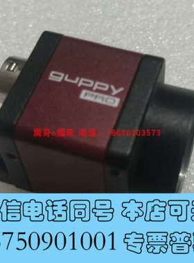 全新议价AVT GUPPY PRO GPF 031B ASG 工询价