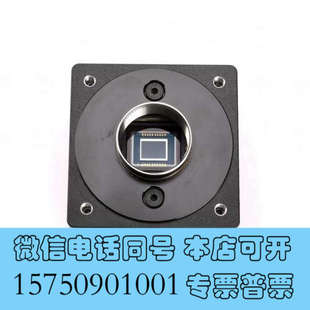 黑白CCD工业相机 现货出售询价 A102f 全新BASLER