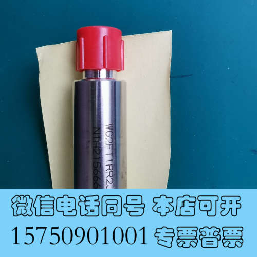 全新英特格/Entegris 真空过滤器 WG2FT1RR2J询价