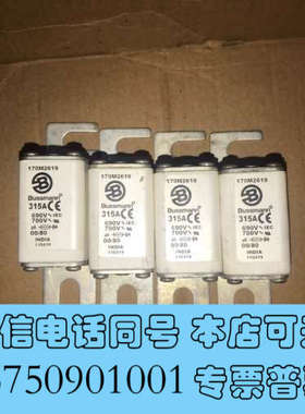 全新巴斯曼熔断器170M2619，315安培，还剩4个 ，转手处询价