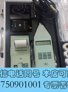 全新环境振动分析仪 星秋 HS5933A 振动测量仪询价