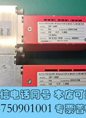 全新掘场 Horiba 流量计  GP-100F He 20SC询价