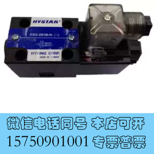 全新原装HYSTAR电磁阀 DSG-2B8-N-01 220V液压阀DSG-3C3-N-03 DC2