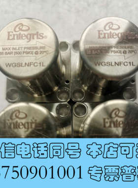 全新英特格 Entegris 过滤器 35BAR 500OPSI询价